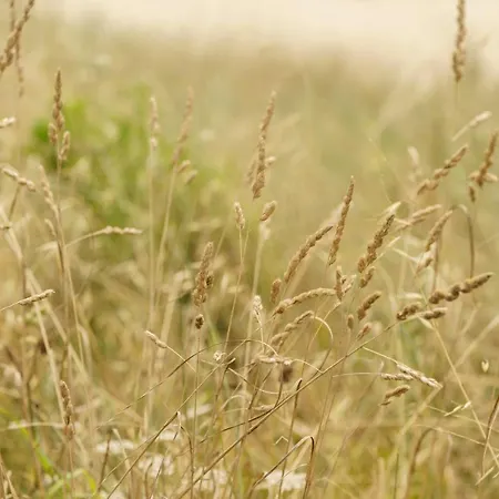 Casa Da Em Valadares *