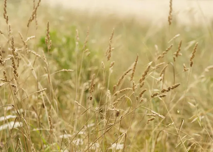 Casa Da Em Valadares *