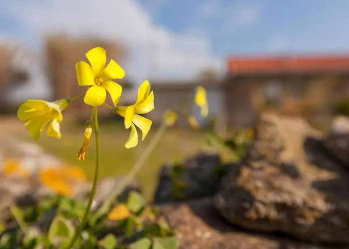 Casa Da Em Valadares