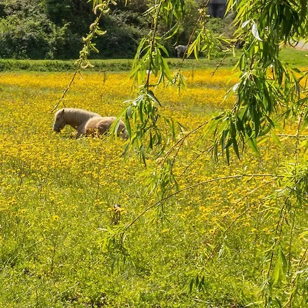 Casa Da Em Valadares * Vila Nova de Gaia