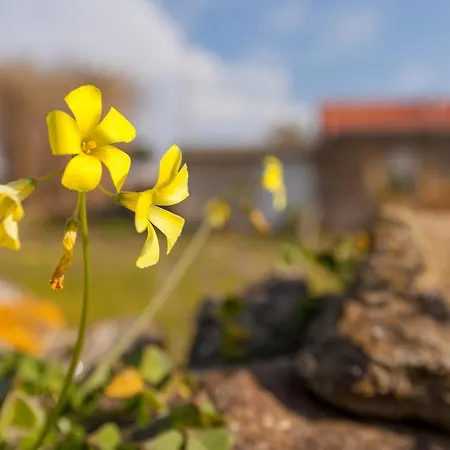Casa Da Em Valadares