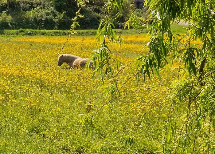 Casa Da Em Valadares * Vila Nova de Gaia